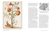 Maria Sibylla Merian by Catherine Powell - Warren