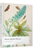 Maria Sibylla Merian by Catherine Powell - Warren