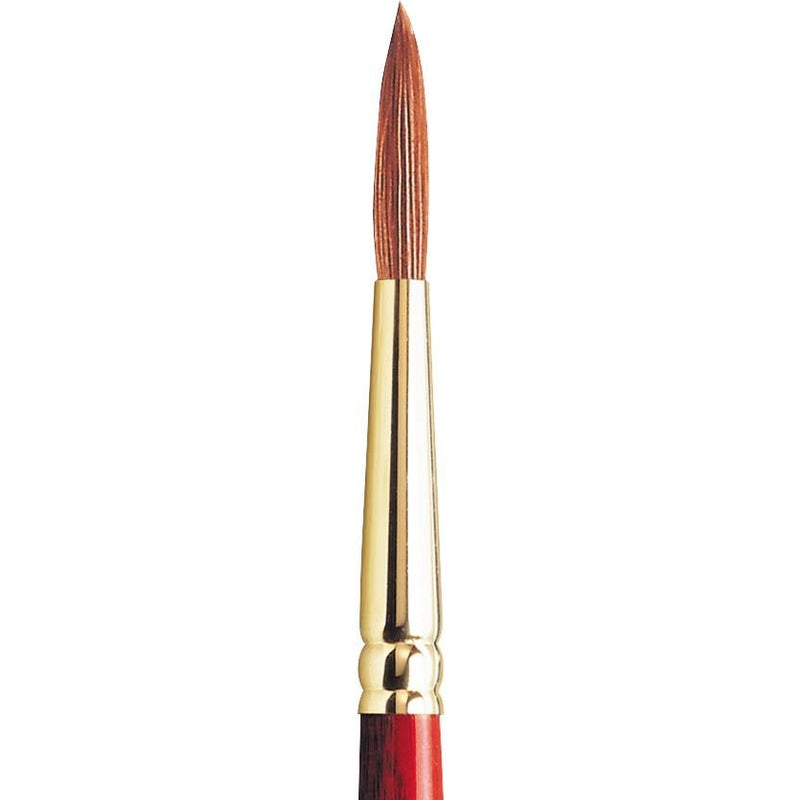 Winsor & Newton Sceptre Gold II Blended Brush (Series 101)