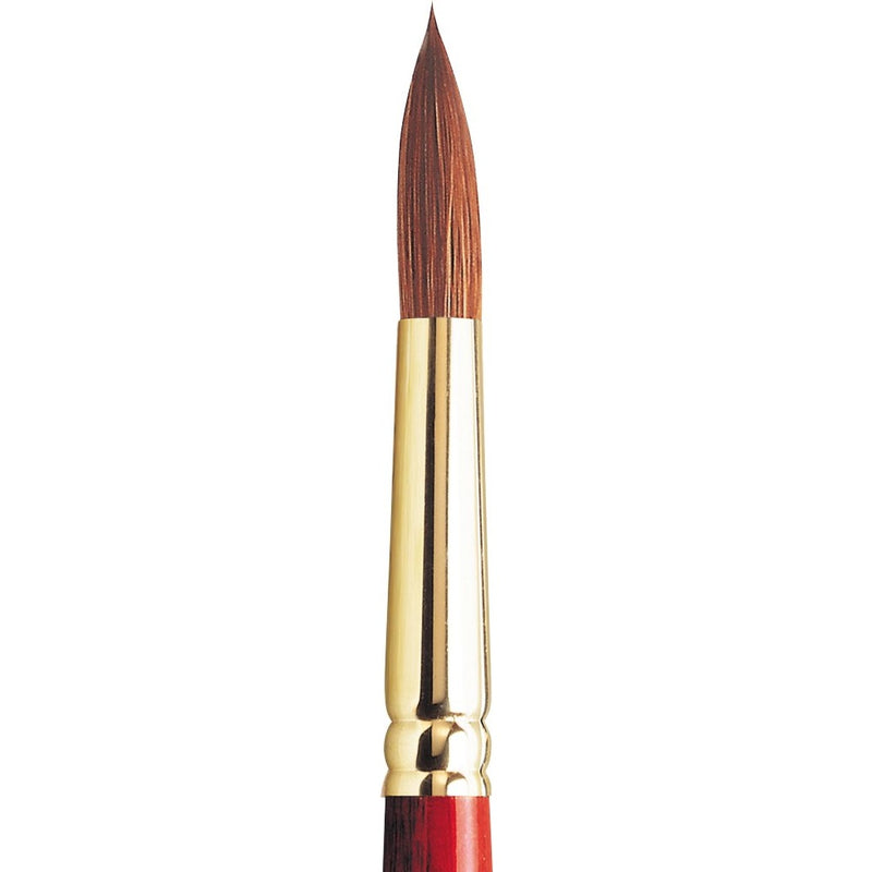 Winsor & Newton Sceptre Gold II Blended Brush (Series 101)