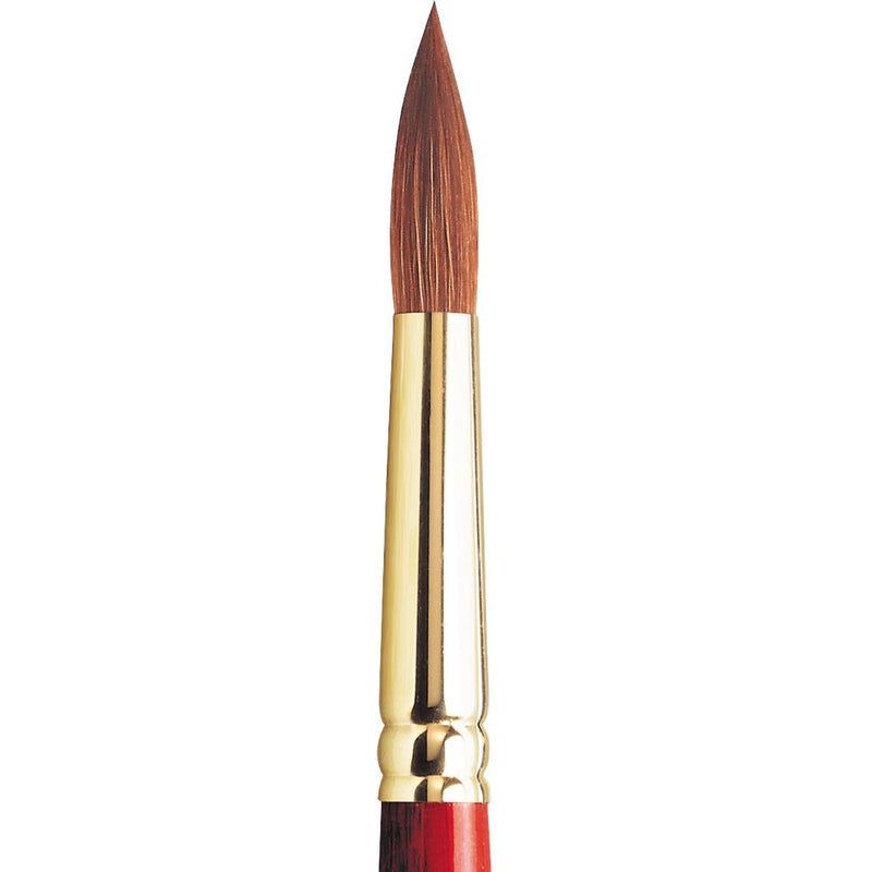 Winsor & Newton Sceptre Gold II Blended Brush (Series 101)