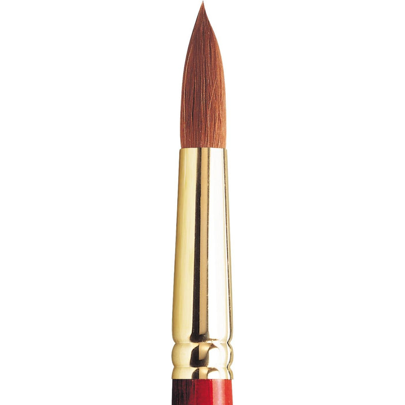Winsor & Newton Sceptre Gold II Blended Brush (Series 101)
