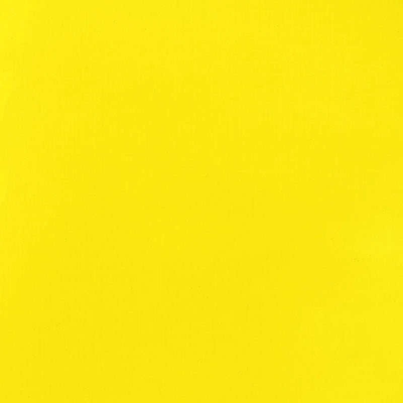 Liquitex Basics Fluid Acrylics 118ml