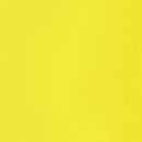 Liquitex Basics Fluid Acrylics 118ml