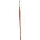 Pro-Arte Prolene Plus (Series 007)