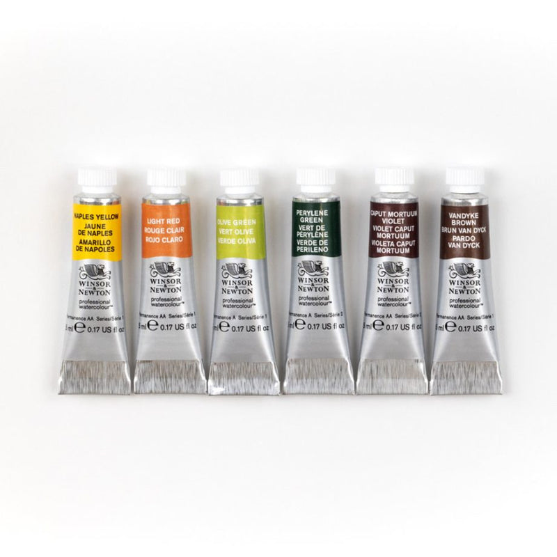 Winsor & Newton Professional Watercolour Rich Earth Set (Set of 6)