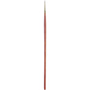 Pro-Arte Prolene Plus (Series 007)