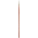 Pro-Arte Prolene Plus (Series 007)