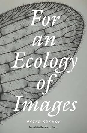 For An Ecology of Images by Peter Szendy