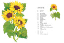 Rewild Your Drawing: How to draw botanicals by Marta Glowack