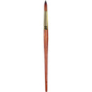 Pro-Arte Prolene Plus (Series 007)