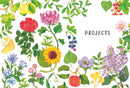 Rewild Your Drawing: How to draw botanicals by Marta Glowack
