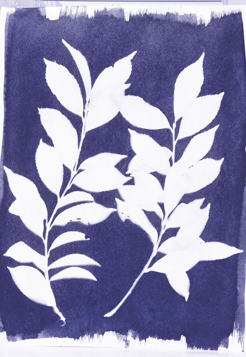 Jacquard Cyanotype Pretreated Fabric (10 Sheets)