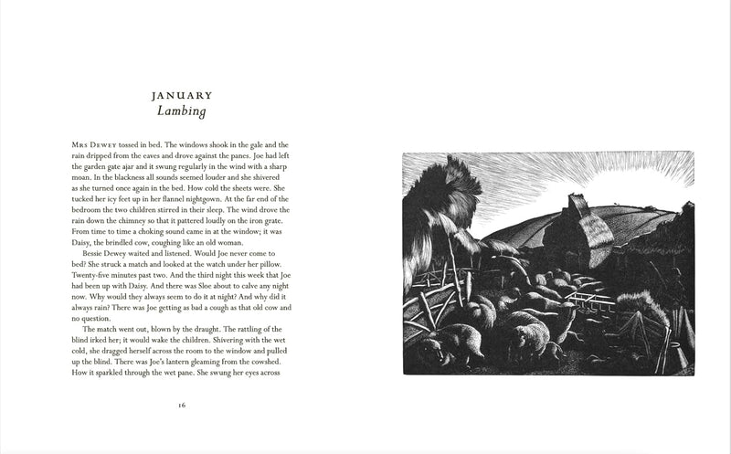 Clare Leighton's Rural Life: An Anthology by Clare Leighton