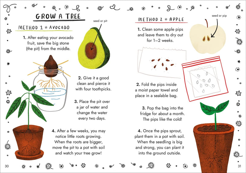 Hello Trees: A Little Guide To Nature (Hardback) by Nina Chakrabarti