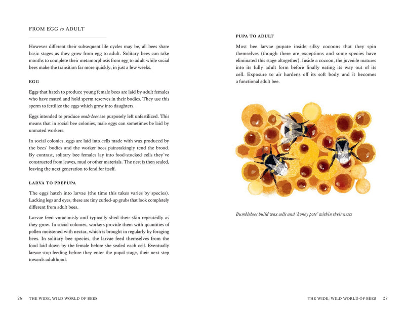 The Wild Bee Handbook by Sarah Wyndham Lewis