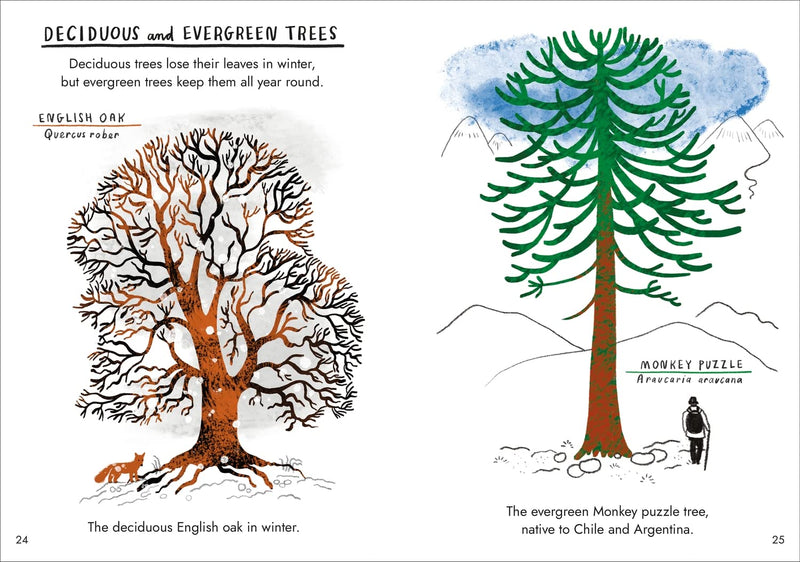 Hello Trees: A Little Guide To Nature (Hardback) by Nina Chakrabarti