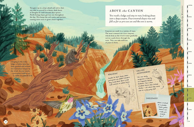 There's a Mountain in This Book: 1 (Young Explorers) by Rachel Elliot