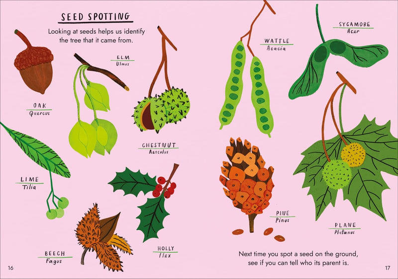 Hello Trees: A Little Guide To Nature (Hardback) by Nina Chakrabarti