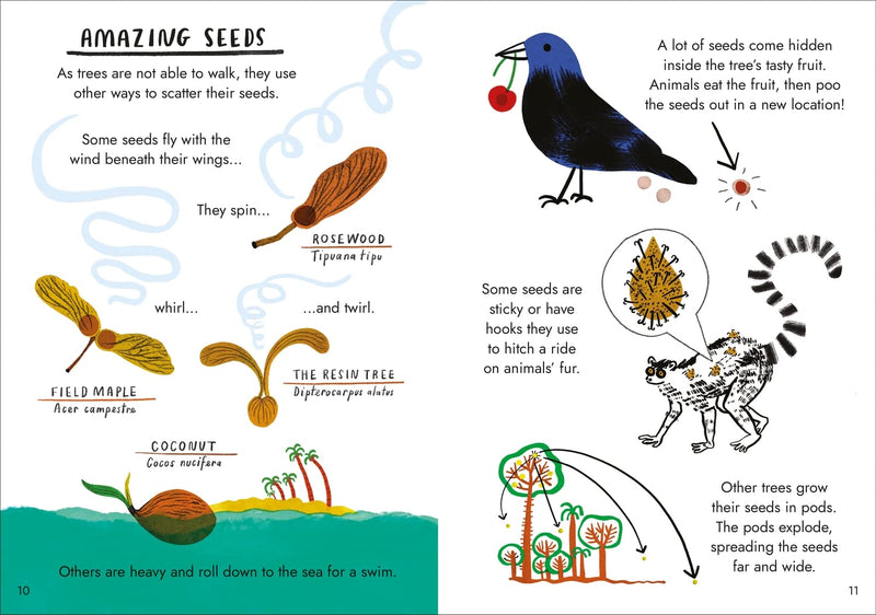 Hello Trees: A Little Guide To Nature (Hardback) by Nina Chakrabarti