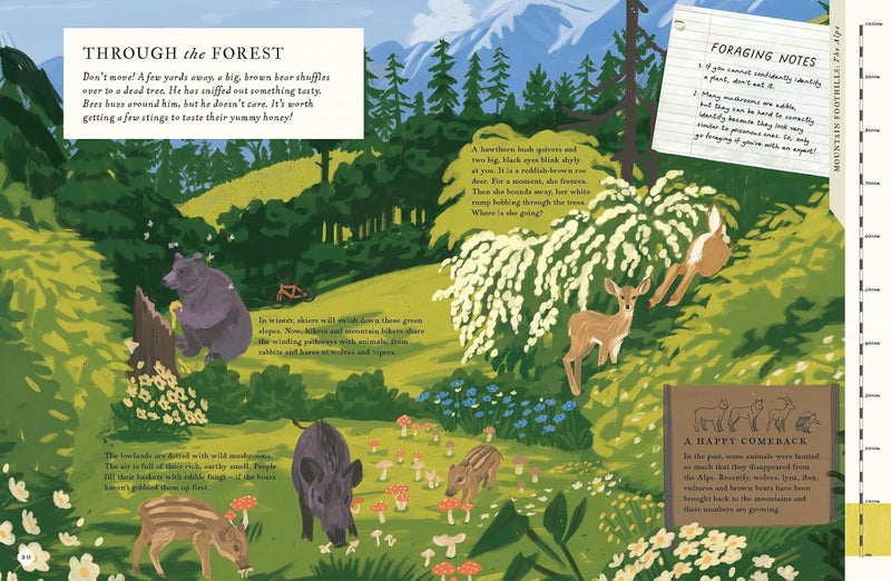 There's a Mountain in This Book: 1 (Young Explorers) by Rachel Elliot