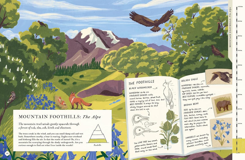 There's a Mountain in This Book: 1 (Young Explorers) by Rachel Elliot