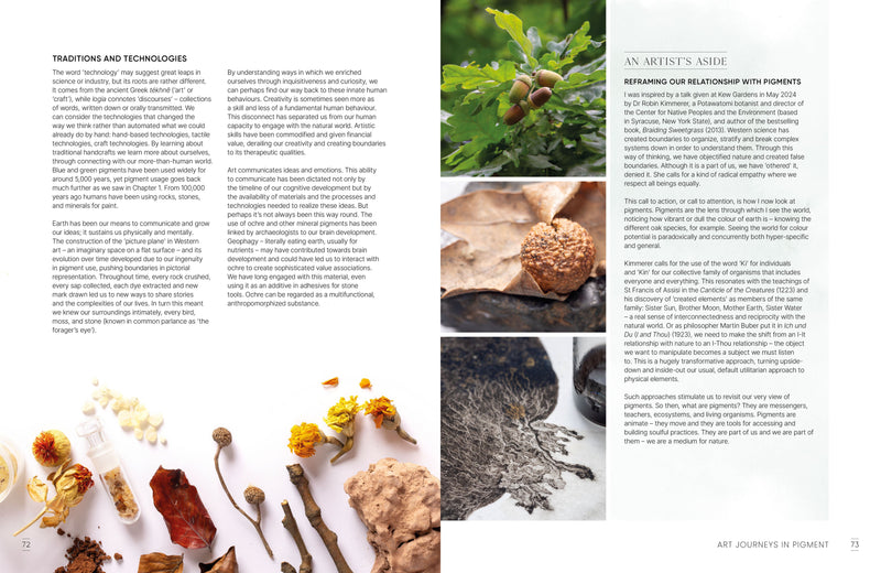 The Natural Pigment Handbook: A Maker's Guide to the Art, Stories and Recipes for Creating Paint by Lucy Mayes