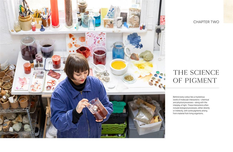 The Natural Pigment Handbook: A Maker's Guide to the Art, Stories and Recipes for Creating Paint by Lucy Mayes