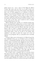 Forecast: A Diary of the Lost Seasons by Joe Shute