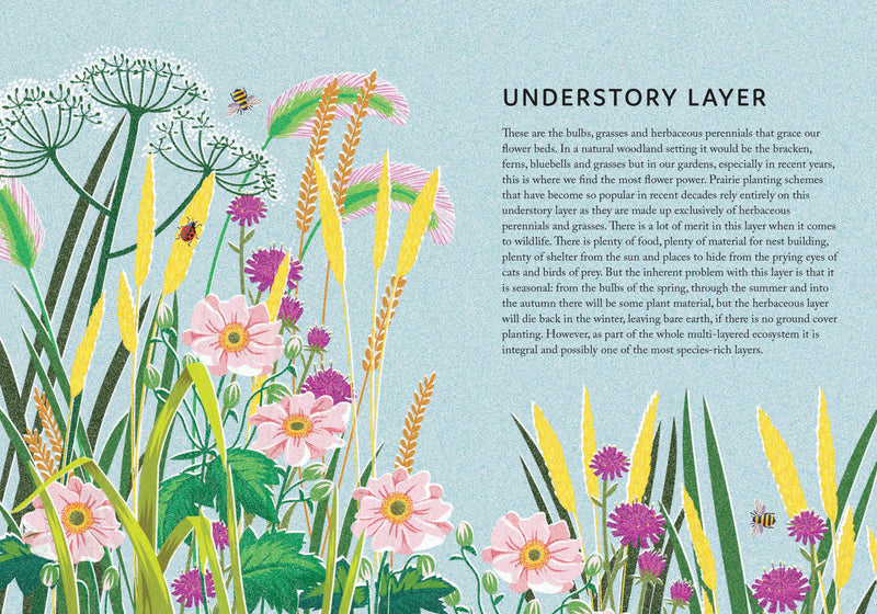 Rewild Your Garden by Frances Tophill