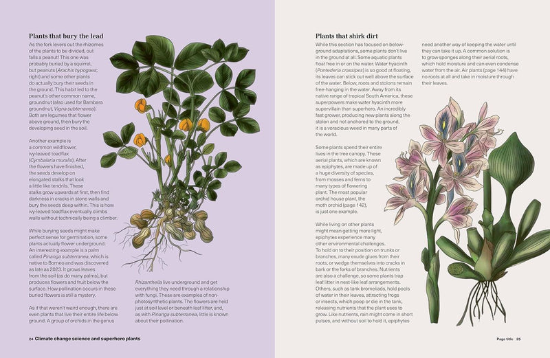 What to Grow for a Climate Resilient Garden by Amanda Rasmussen