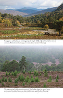 Regeneration: The Rescue of a Wild Land by Andrew Painting