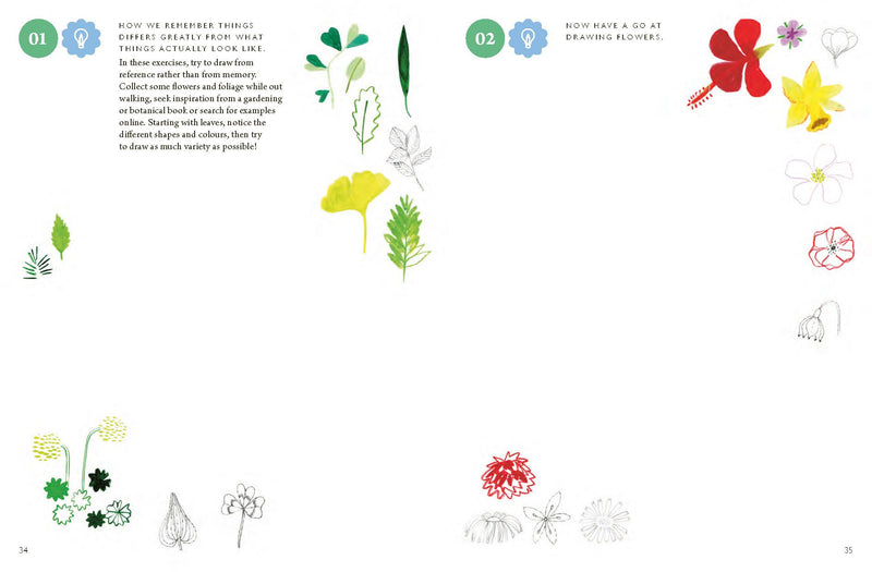 Drawing Nature 100 Prompts Projects / Playful Exercises (Paperback) by Viktorija Semjonova