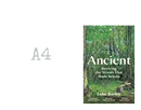 Ancient : Reviving The Woods That Made Britain (HB) by Luke Barley