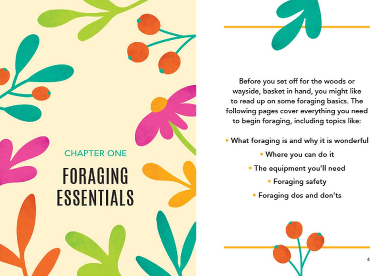 The Little Book of Foraging: Practical Advice and Handy Hints for Aspiring Foragers (Paperback) by Kitty Greenbrown