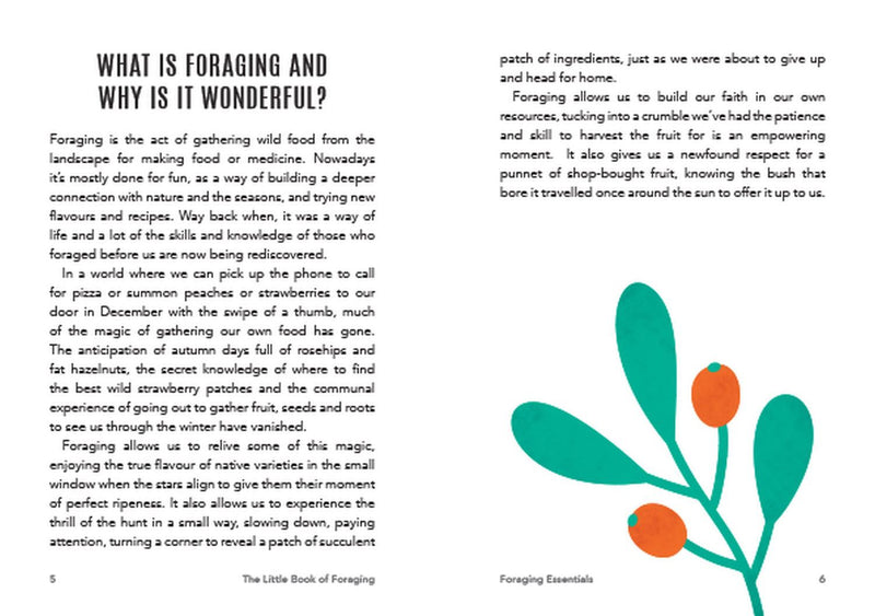 The Little Book of Foraging: Practical Advice and Handy Hints for Aspiring Foragers (Paperback) by Kitty Greenbrown