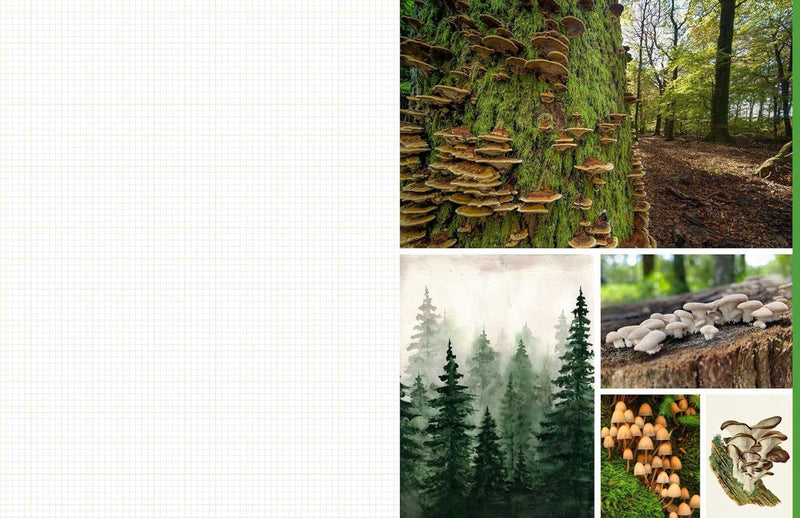 Cut and Collage Mushroom and Fungi (PB)