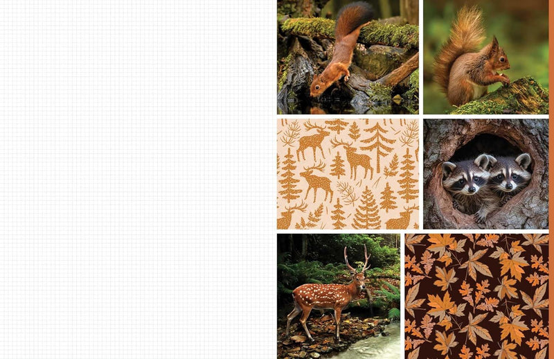 Cut And Collage Woodland Creatures (PB)
