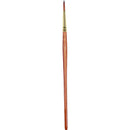 Pro-Arte Prolene Plus (Series 007)