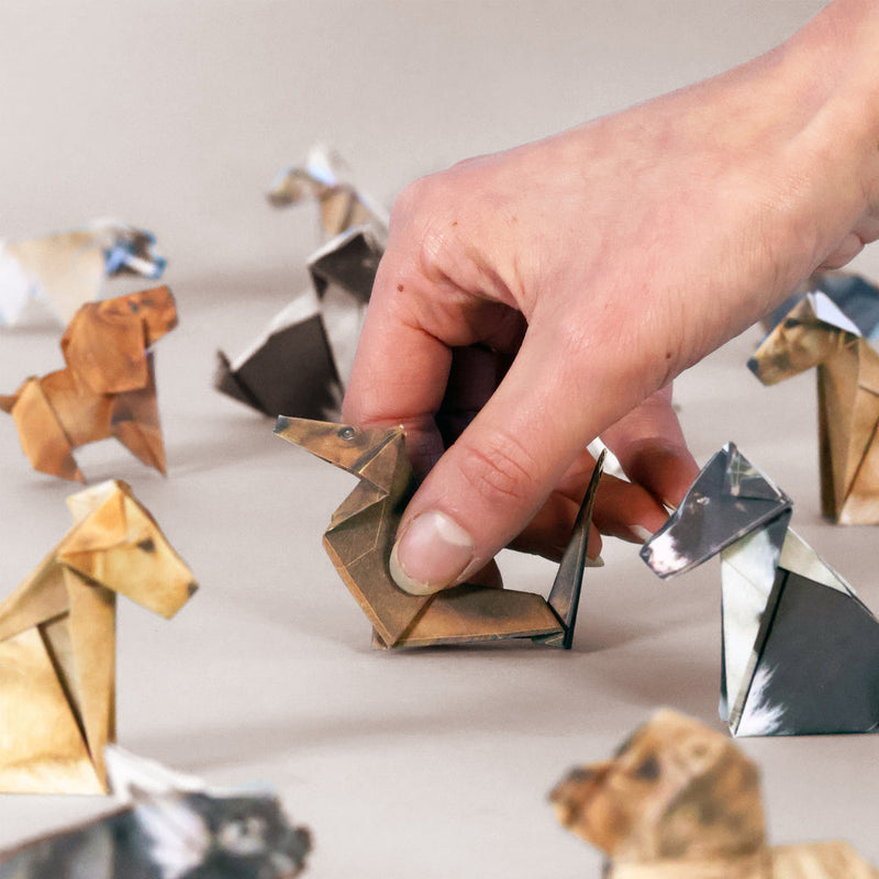 Pikkii Paper Pups: Origami Dog Kit