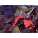 Two Rivers Handmade Watercolour Paper Sheet - De Nimes Turner Grey  (52x70cm) 140Ib