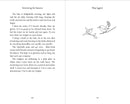 Swimming The Seasons (In the Moment) by Polly Atkin