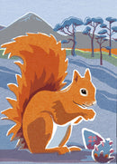 Nature Notebook : Red Squirrel
