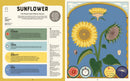Superpowered Plants (HB) by Soledad Romero Marino