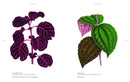 Folium interior spread 4
