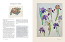 How To Look Draw and Paint by Matthew Rice (PB)