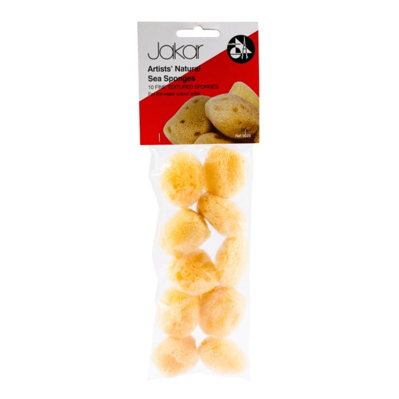 Natural Sea Sponges