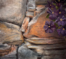 Old Wall and Clemaitis - Original Artwork by Linda Ryle