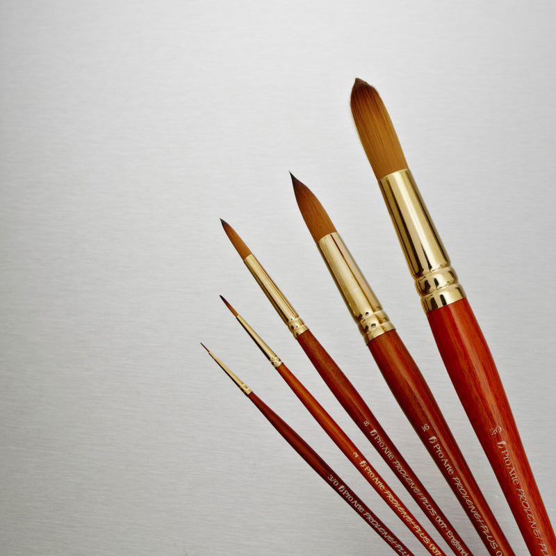 Pro-Arte Prolene Plus (Series 007)