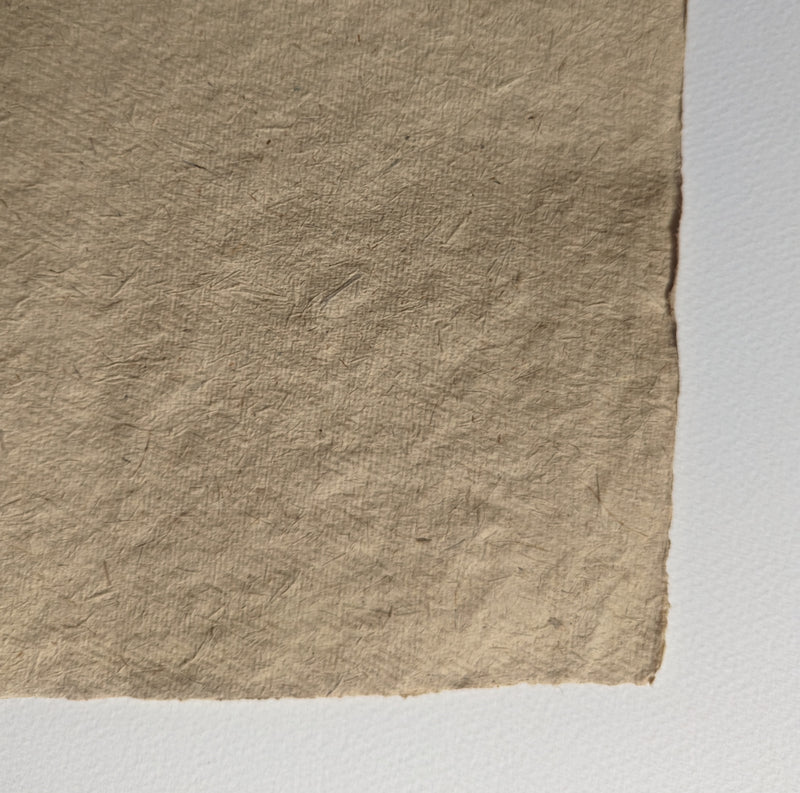 Bagasse Rough 210gsm Paper Sheet (56x76cm)